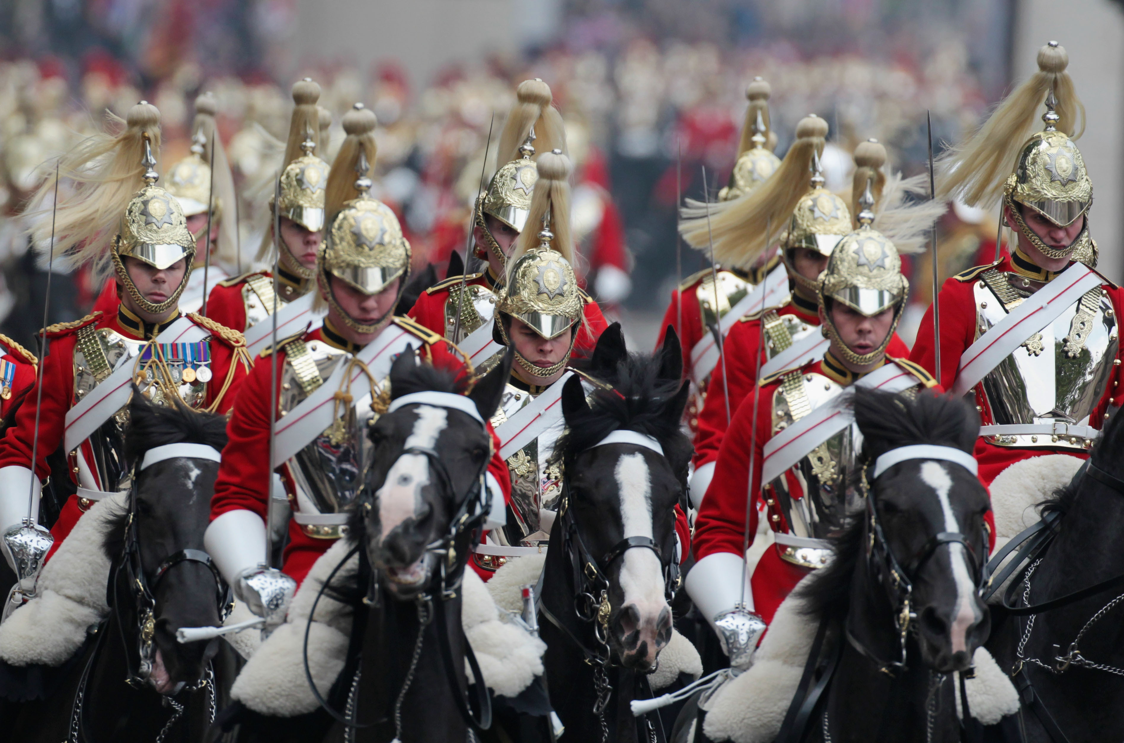 Royal Wedding Horses